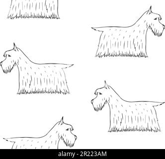 Vektornahtloses Muster eines handgezeichneten schottischen Terrier-Hundes, isoliert auf weißem Hintergrund Stock Vektor
