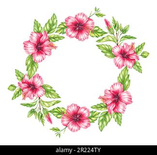 Der runde, wässrige Kranz der Hibiskusblüten. Isolierte Illustration auf weißem Hintergrund für das Design von Karten, Einladungen, Visitenkarten, Logos Stockfoto