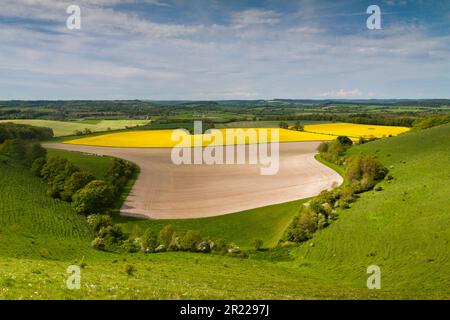 Der spektakuläre Blick nach Norden von Win Green, Wiltshire über Cranborne Chase, eine Gegend von herausragender natürlicher Schönheit (AONB) Stockfoto