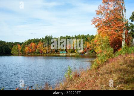 Wunderschöner See, umgeben von einem dicken Wald im Herbst. Eine Ferienhütte ist zwischen den Bäumen am Ufer des Sees zu sehen. Stockfoto