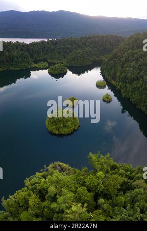 Ein großer Meeressee befindet sich inmitten wunderschöner Kalksteininseln, die sich von West Papuas Meereslandschaft erheben. Seen sind umschlossene Salzwasserökosysteme. Stockfoto