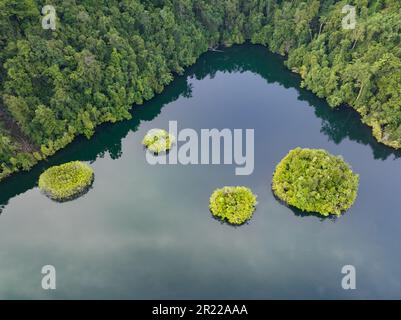 Ein großer Meeressee befindet sich inmitten wunderschöner Kalksteininseln, die sich von West Papuas Meereslandschaft erheben. Seen sind umschlossene Salzwasserökosysteme. Stockfoto