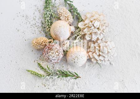 Weihnachtsdekoration mit verschiedenen Hütchen aus Erle, Kiefer und Lärche zusammen mit Heidenzweigen und kleinen Weihnachtsbällen, Europa, Deutschland, Norden Stockfoto