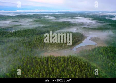 Taiga mit Nadelwäldern und Teichen in der Region Aelvdalen, Panoramablick, Schweden Stockfoto