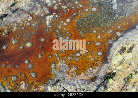 Teich im Sumpf, Luftaufnahme, Schweden, Lappland, Kiruna Stockfoto