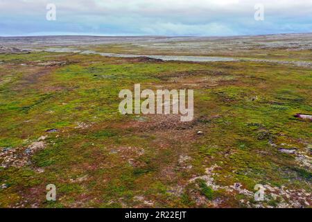 Tundra in Norwegen, Aerial View, Norwegen, Varanger Peninsula, Finnmark, Vadso Stockfoto