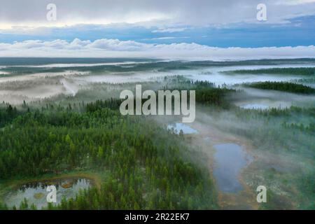 Taiga mit Nadelwäldern und Teichen in der Region Aelvdalen, Panoramablick, Schweden Stockfoto