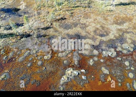 Teich im Sumpf, Luftaufnahme, Schweden, Lappland, Kiruna Stockfoto