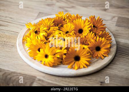 Ringelblume (Calendula officinalis), sammelte Blumen auf einem Teller Stockfoto