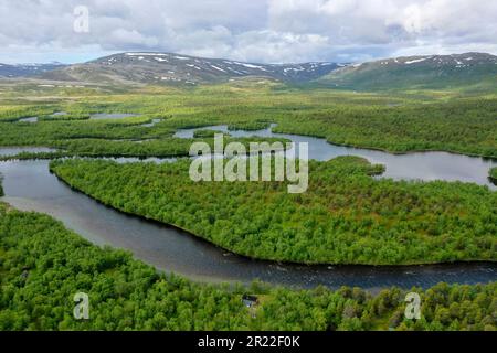 Taiga mit Wasser- und Kiefernwäldern, Vogelperspektive, Norwegen, Finnmark, Stabbursdalen-Nationalpark Stockfoto