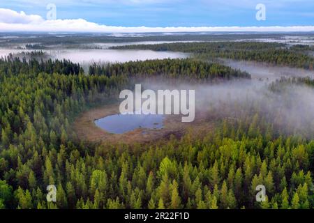 Taiga mit Nadelwäldern und Teichen in der Region Aelvdalen, Panoramablick, Schweden Stockfoto