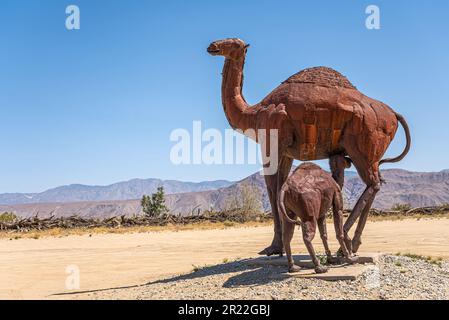 Borrego Springs, CA, USA - 24. April 2023: Prähistorischer Riesendromedary aus braunem, rostfreiem Metall mit gesäugten Kalbsstatuen auf sandigem Wüstenboden Stockfoto