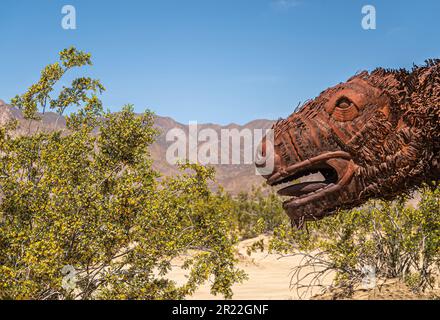 Borrego Springs, CA, USA - 24. April 2023: Nahaufnahme, Braunrostiges Metall prähistorische riesige Dinosaurierstatue auf Sandwüste unter blauem Himmel, Green Bu Stockfoto