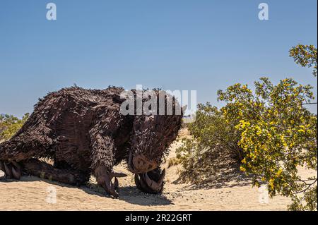 Borrego Springs, CA, USA - 24. April 2023: Schwarz-braune rostige prähistorische Dinosaurierstatue, die unter blauem Himmel in der Sandwüste zerbrochen wurde, Gree Stockfoto