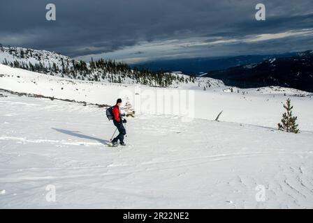 Schneeschuhwandern auf Mount Saint Helens, Washington. Stockfoto