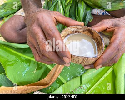 Kava ist ein traditionelles und kulturell bedeutsames Getränk in Vanuatu. Es wird aus den Wurzeln der Kava-Pflanze, wissenschaftlich bekannt als Piper methysticum, hergestellt. Die Wurzeln werden zu einem feinen Pulver gemahlen, das dann mit Wasser vermischt wird und zu einem schlammigen, erdigen Getränk wird. Kava wird seit Jahrhunderten in Vanuatu konsumiert und ist tief mit sozialen, zeremoniellen und medizinischen Aspekten der lokalen Kultur verflochten. Sie wird oft von Freunden und Familie bei Versammlungen oder offiziellen Zeremonien geteilt und fördert Entspannung, soziale Bindungen und ein Gemeinschaftsgefühl. Kava ist bekannt für seine beruhigenden Eigenschaften, Prov Stockfoto