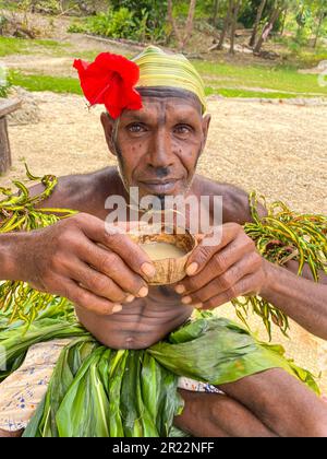 Kava ist ein traditionelles und kulturell bedeutsames Getränk in Vanuatu. Es wird aus den Wurzeln der Kava-Pflanze, wissenschaftlich bekannt als Piper methysticum, hergestellt. Die Wurzeln werden zu einem feinen Pulver gemahlen, das dann mit Wasser vermischt wird und zu einem schlammigen, erdigen Getränk wird. Kava wird seit Jahrhunderten in Vanuatu konsumiert und ist tief mit sozialen, zeremoniellen und medizinischen Aspekten der lokalen Kultur verflochten. Sie wird oft von Freunden und Familie bei Versammlungen oder offiziellen Zeremonien geteilt und fördert Entspannung, soziale Bindungen und ein Gemeinschaftsgefühl. Kava ist bekannt für seine beruhigenden Eigenschaften, Prov Stockfoto