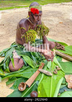 Kava ist ein traditionelles und kulturell bedeutsames Getränk in Vanuatu. Es wird aus den Wurzeln der Kava-Pflanze, wissenschaftlich bekannt als Piper methysticum, hergestellt. Die Wurzeln werden zu einem feinen Pulver gemahlen, das dann mit Wasser vermischt wird und zu einem schlammigen, erdigen Getränk wird. Kava wird seit Jahrhunderten in Vanuatu konsumiert und ist tief mit sozialen, zeremoniellen und medizinischen Aspekten der lokalen Kultur verflochten. Sie wird oft von Freunden und Familie bei Versammlungen oder offiziellen Zeremonien geteilt und fördert Entspannung, soziale Bindungen und ein Gemeinschaftsgefühl. Kava ist bekannt für seine beruhigenden Eigenschaften, Prov Stockfoto