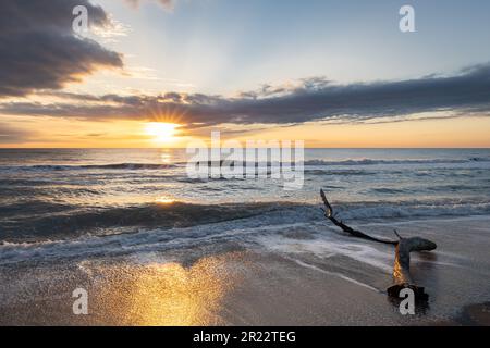 Sonnenuntergang am Blindpass Beach in Manasota Key Florida mit einem wunderschönen Himmel und einem großen Baumstamm am Ufer Stockfoto