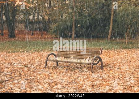 Holzbank und herbstliche Herbstblätter im Park an Regentagen Stockfoto