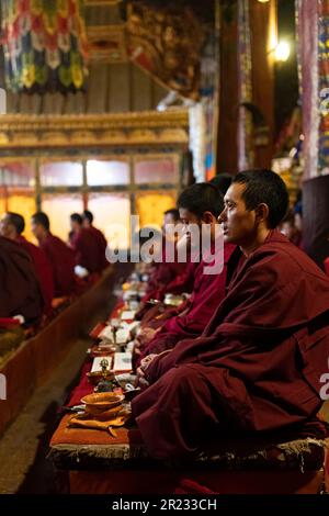 Mönche im buddhistischen Kloster in Tibet, 8-2019 Stockfoto