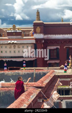 Mönche füttern Vögel auf dem Klosterdach. Buddhistisches Kloster in Tibet, 8-2019 Stockfoto