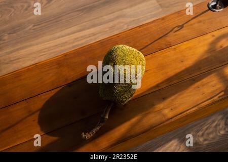 Asiatische Sommerfrüchte namens Jackfruit wissenschaftlicher Name Artocarpus heterophyllus Stockfoto