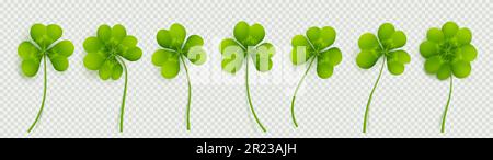 Realistische 3D-Kleeblätter isoliert auf transparentem Hintergrund. Vektordarstellung grüner Trifoils, dekorative Pflanze. Symbol für Glück, Chance auf Erfolg. Symbole des St. Patrick Day png Stock Vektor