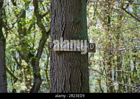 Privates handgemaltes Schild auf einem Baumstamm, Waldhintergrund Stockfoto