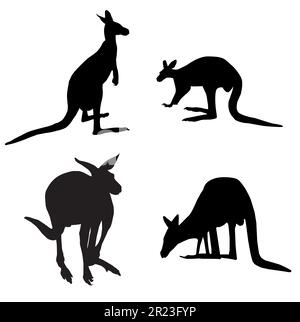 Silhouette von vier verschiedenen australischen Kängurus auf weißem Hintergrund Stock Vektor