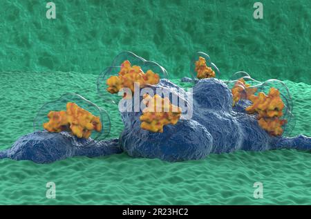 Neurotoxine (wie das spyder-Giftenzym), die Nervengewebe zerstören - 3D-Darstellung der Nahaufnahme Stockfoto