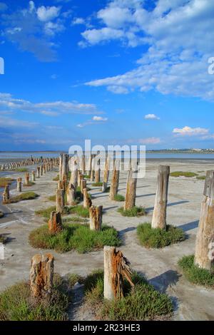 Foto wurde in der Ukraine aufgenommen. Das Bild zeigt die Landschaft der Mündung in der Nähe von Odessa namens Kuyalnik. Das Foto zeigt Holzstapel - die Überreste des Piers Stockfoto