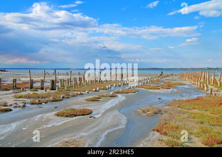 Foto wurde in der Ukraine aufgenommen. Das Bild zeigt die Landschaft der Mündung in der Nähe von Odessa namens Kuyalnik. Das Foto zeigt Holzstapel - die Überreste des Piers Stockfoto