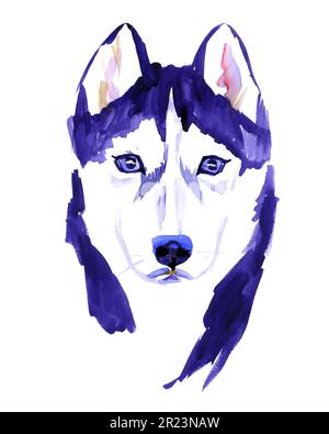 Aquarellhund isoliert auf weißem Hintergrund. Handgezeichnete Illustration Stockfoto