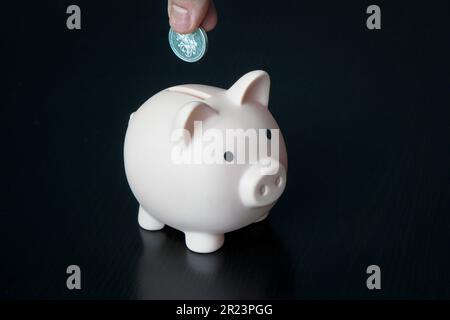 Süßes weißes Sparschwein auf schwarzem Hintergrund. Hand mit Münze über einem Sparschwein Stockfoto