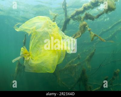 Abfall in Form von Plastiktüten in einem Süßwassersee, Abfall in Form von Plastikbeuteln in einem Süßwassersee, NRW, Deutschland Stockfoto