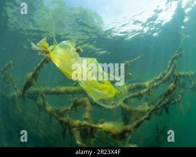 Abfall in Form von Plastiktüten in einem Süßwassersee, Abfall in Form von Plastikbeuteln in einem Süßwassersee, NRW, Deutschland Stockfoto