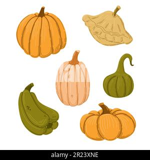 Herbstkürzel und Kürbisse. Von Hand gezeichneter Vektorsatz. Stock Vektor