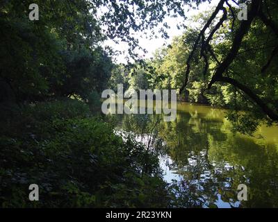 Ropotamo Reserve (Primorsko, Provinz Burgas, Bulgarien) Stockfoto