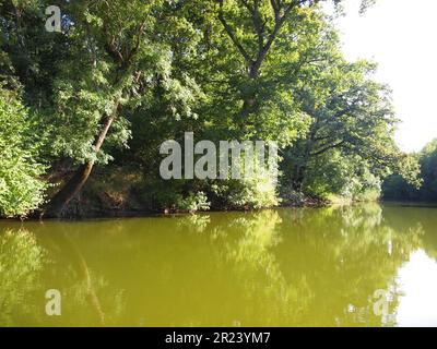 Ropotamo Reserve (Primorsko, Provinz Burgas, Bulgarien) Stockfoto