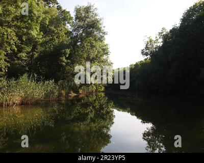 Ropotamo Reserve (Primorsko, Provinz Burgas, Bulgarien) Stockfoto