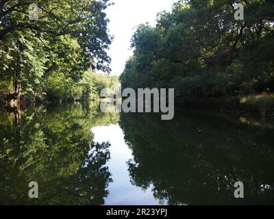 Ropotamo Reserve (Primorsko, Provinz Burgas, Bulgarien) Stockfoto