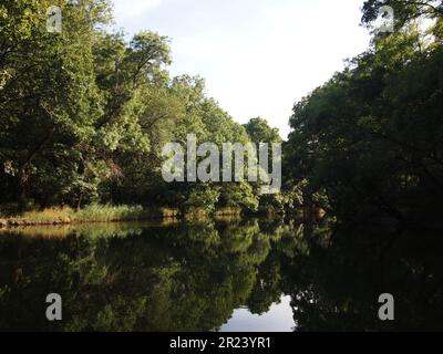 Ropotamo Reserve (Primorsko, Provinz Burgas, Bulgarien) Stockfoto