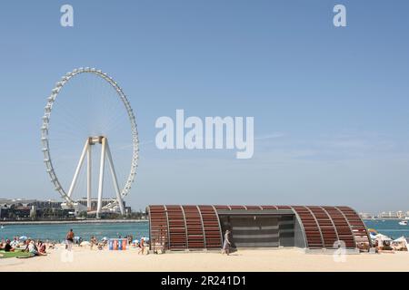 Blick auf das Riesenrad von Ain Dubai vom Marina Beach aus. Mit einer Höhe von 210m m ist es das größte Riesenrad der Welt, Dubai, Vereinigte Arabische Emirate Stockfoto