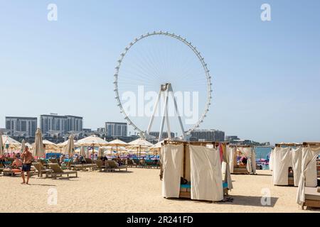 Blick auf das Riesenrad von Ain Dubai vom Marina Beach aus. Mit einer Höhe von 210m m ist es das größte Riesenrad der Welt, Dubai, Vereinigte Arabische Emirate Stockfoto