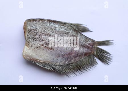 Sonnengetrockneter, ungekochter Gourami-Fisch - auf Thailändisch mit dem Namen Pla Salit isoliert auf weißem Hintergrund Stockfoto