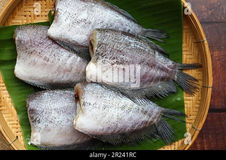 Sonnengetrockneter, ungekochter Gourami-Fisch - auf Thailändisch mit dem Namen Pla Salit auf einem Bambuskorb von oben Stockfoto