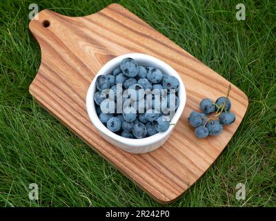 Kleine Schüssel Blaubeeren auf Holzbrett auf grünem Sommergras. Ein Snack am Morgen. Inhaltsstoff in gesunden Rezepten Stockfoto