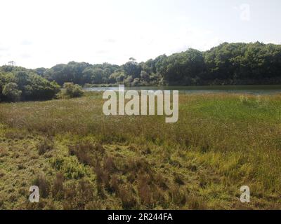 Sinemorets (Gemeinde Tsarevo, Provinz Burgas, Bulgarien) Stockfoto