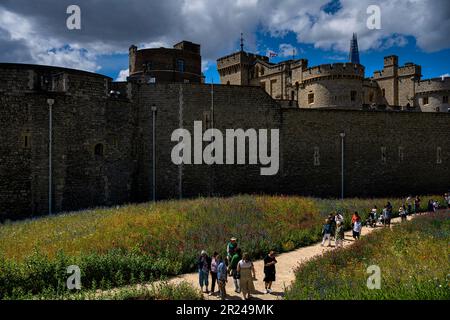 London, England - 28. Juni 2022: Besucher bewundern die Blumen vor dem Tower of London Stockfoto